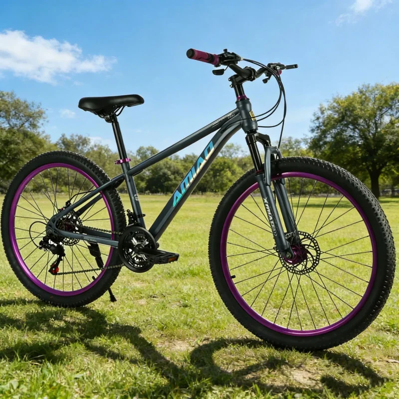 Cycling Low Gear - Multi-speed Mountain Bike Lightweight Suspension for