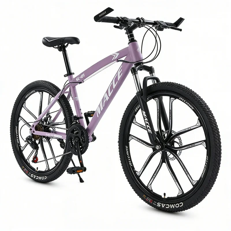 Purple 10-Speed High-End Mount - Cycling Low Gear ulasan dan harga