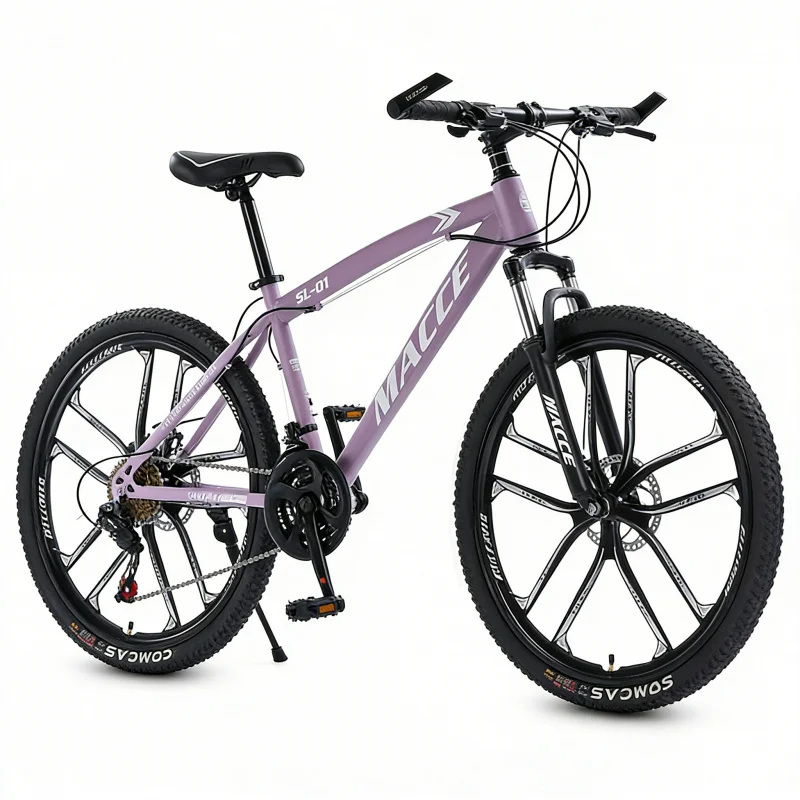 Purple 10-Speed High-End Mount - Cycling Low Gear ulasan dan harga